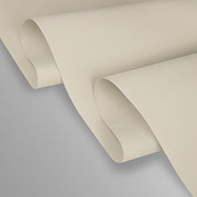 Load image into Gallery viewer, Clay 3-Panel Single Rail Panel Track 36"-66"W, Panel width 23.5" - 100% BLACKOUT