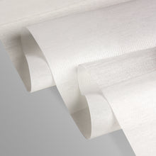 Load image into Gallery viewer, 3-Panel Single Rail Panel Track Blind Extendable 36"-66"W x 91.4"H, Panel width 23.5", Macadamia, Embroidered Chiffon