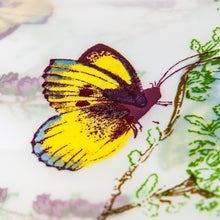 Load image into Gallery viewer, Tranquil Floating Butterflies Shower Curtain
